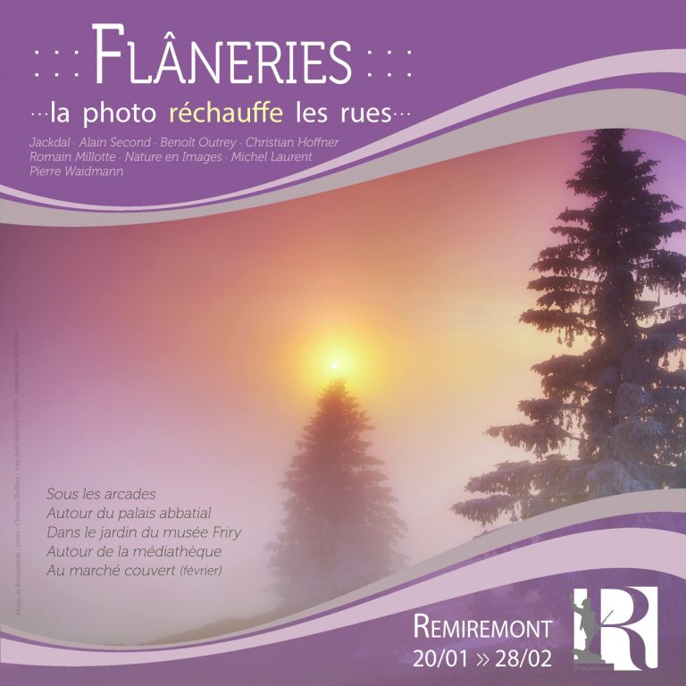 Ville De Remiremont Temporaires Affiche Flaneries