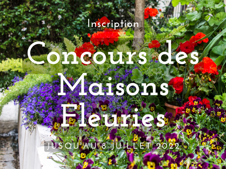 Ville De Remiremont Actualites Site Concours Maisons Fleuries Graphique